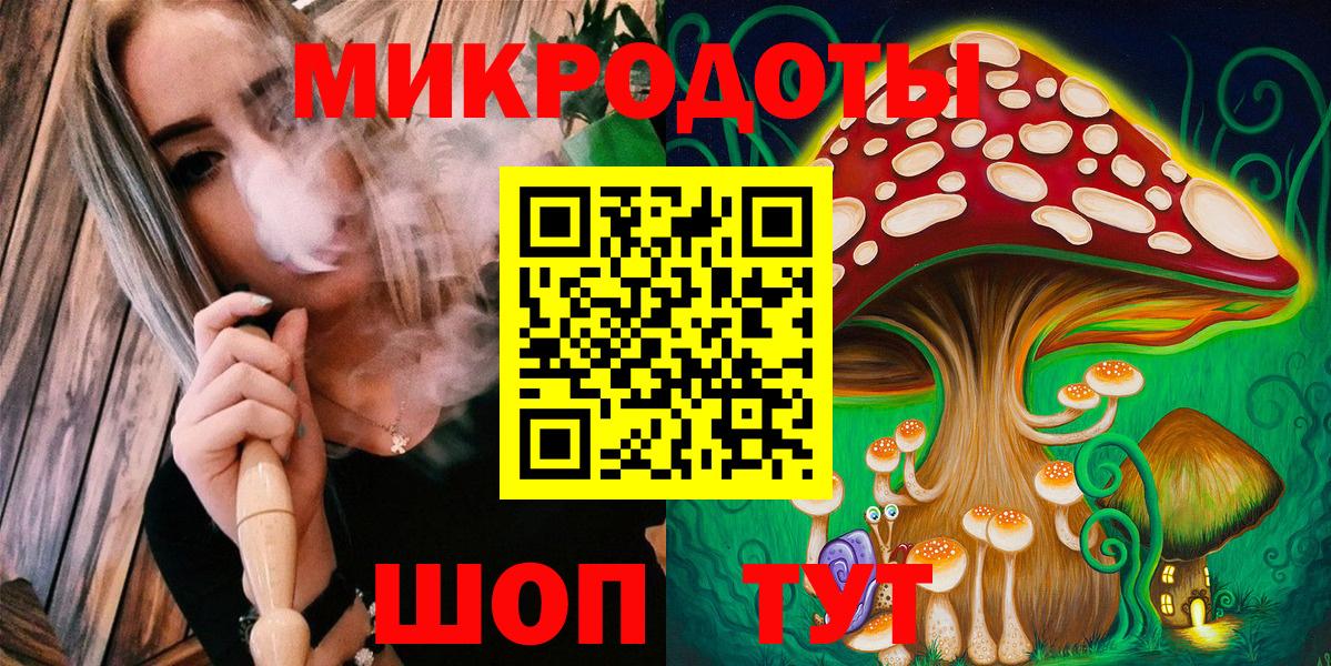 Псилоцибиновые грибы Cubensis Сосновый Бор