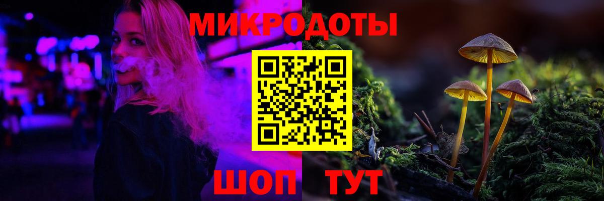 Псилоцибиновые грибы Psilocybe  Вход с VPN  Сосновый Бор 